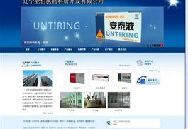 易势 沈阳网站制作、网站建设与网站设计的专业引领者