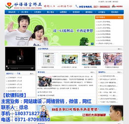 金水区专业网站建设与推广 助力郑州企业数字化腾飞
